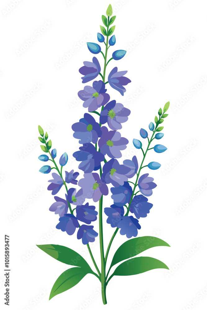 Obraz premium Delphinium Flowers Vector Illustration on Clean White Background for Design Projects and Nature Themes