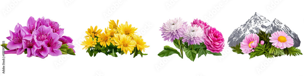 A vibrant collection of colorful flowers arranged beautifully against a white background. transparent background A vibrant collection of colorful flowers arranged beautifully against a white background. transparent background