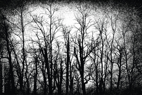Messy autumn forest with dead trees, Bare trees with branches on grunge background. Black and white illustration	