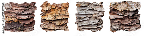 Four variations of tree bark textures, showcasing natural patterns in earthy colors, isolated on a white background. transparent background