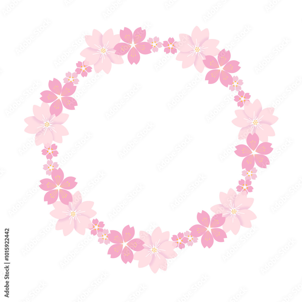 Round frame of the cherry blossom which bloomed in full bloom in the spring Round frame of the cherry blossom which bloomed in full bloom in the spring