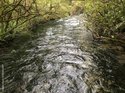 Te Waikoropupu Springs NZ