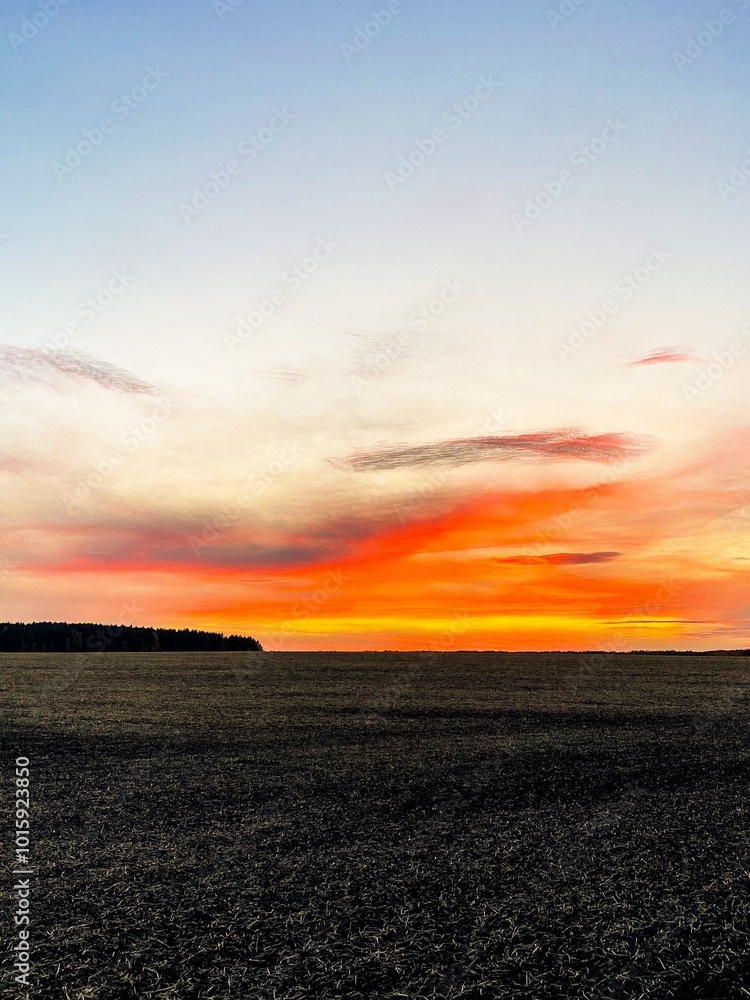 Fototapeta premium sunset