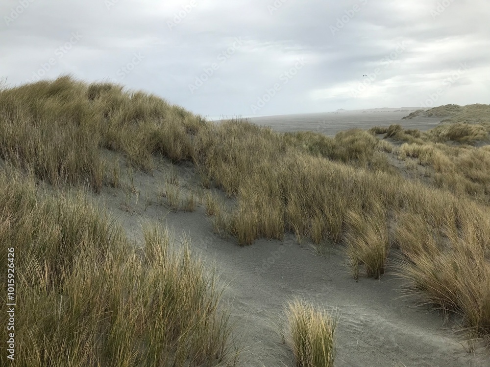 Farewell Spit Sand Dunes NZ Farewell Spit Sand Dunes NZ