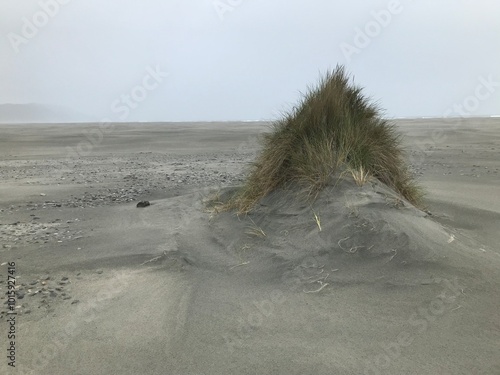 Farewell Spit Sand Dune NZ