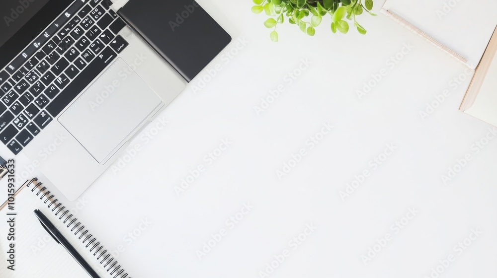 Minimalist White Office Desk with Laptop Notebook and Plant Top View Minimalist White Office Desk with Laptop Notebook and Plant Top View