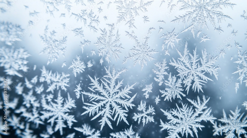 Beautiful Snowflake Pattern on Frozen Window Pane Beautiful Snowflake Pattern on Frozen Window Pane