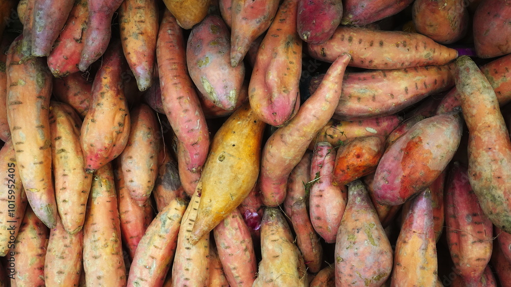 Sweet Potatoes Fresh Abundant Top View Natural Orange Photography Sweet Potatoes Fresh Abundant Top View Natural Orange Photography