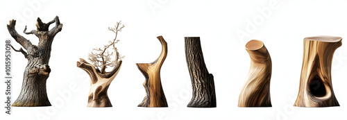 Set of modern decorative natural wood tree sculptures isolated on transparent background.  photo