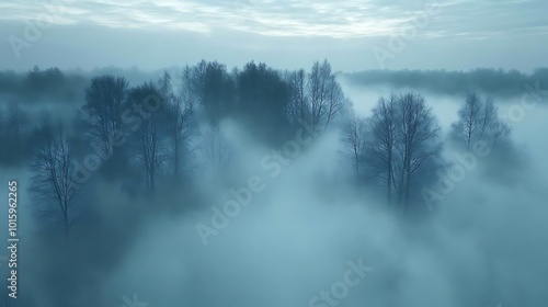 An aerial view of a misty forest at dawn, with the trees barely visible through the fog.