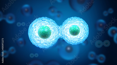 Cell division on fetus background. 3d illustration. photo