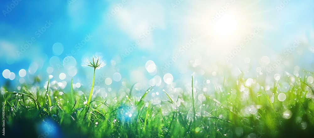 Fototapeta premium blue sky with sun and white clouds, background, blurred
