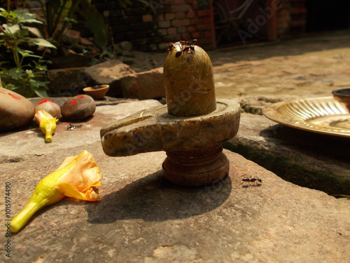 Stone Shiva Lingam with a flower offering in an outdoor setting, symbolizing devotion and worship. Ants and sacred objects enhance the spiritual ambiance of this traditional scene. photo