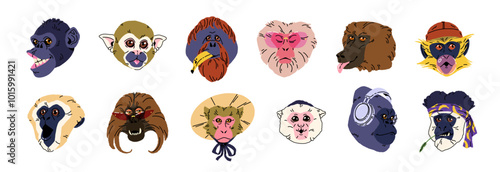 Cute monkey avatars set. Primate faces for user profile. Head portraits of funny chimpanzee, gorilla, marmoset, orangutan, macaque, baboon. Flat isolated vector illustrations on white background