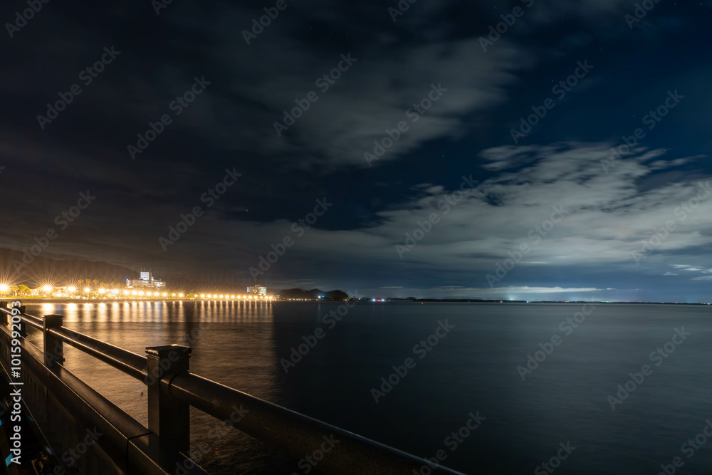 Fototapeta premium 夜の青島 宮崎県宮崎市