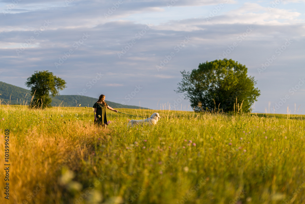 Beautiful young woman and her cute large white Great Pyrenees dog taking a walk trough tall grass meadow, enjoying time together. Pet owner, pet love, dog frienship concept. Beautiful young woman and her cute large white Great Pyrenees dog taking a walk trough tall grass meadow, enjoying time together. Pet owner, pet love, dog frienship concept.
