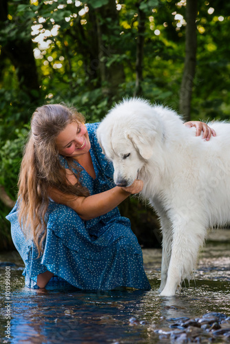 Young woman and her large white Great Pyrenees dog enjoying time together, cooling off in a stream during hot summer day. Pet owner, pet love, dog frienship concept. photo