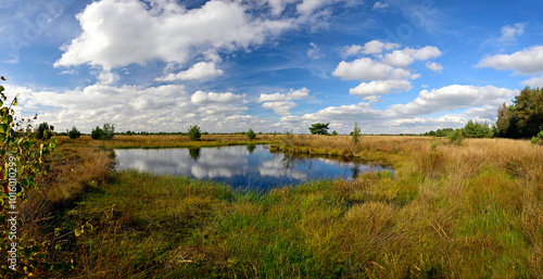 Moorauge im Neustädter Moor, Diepholzer Moorniederung, Niedersachsen, Deutschland photo