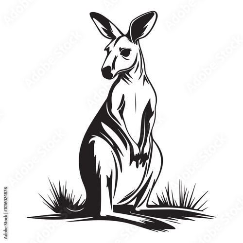 Kangaroo Silhouette and Illustrations, Kangaroo in cartoon, doodle style, Kangaroo Vector Line art Illustration