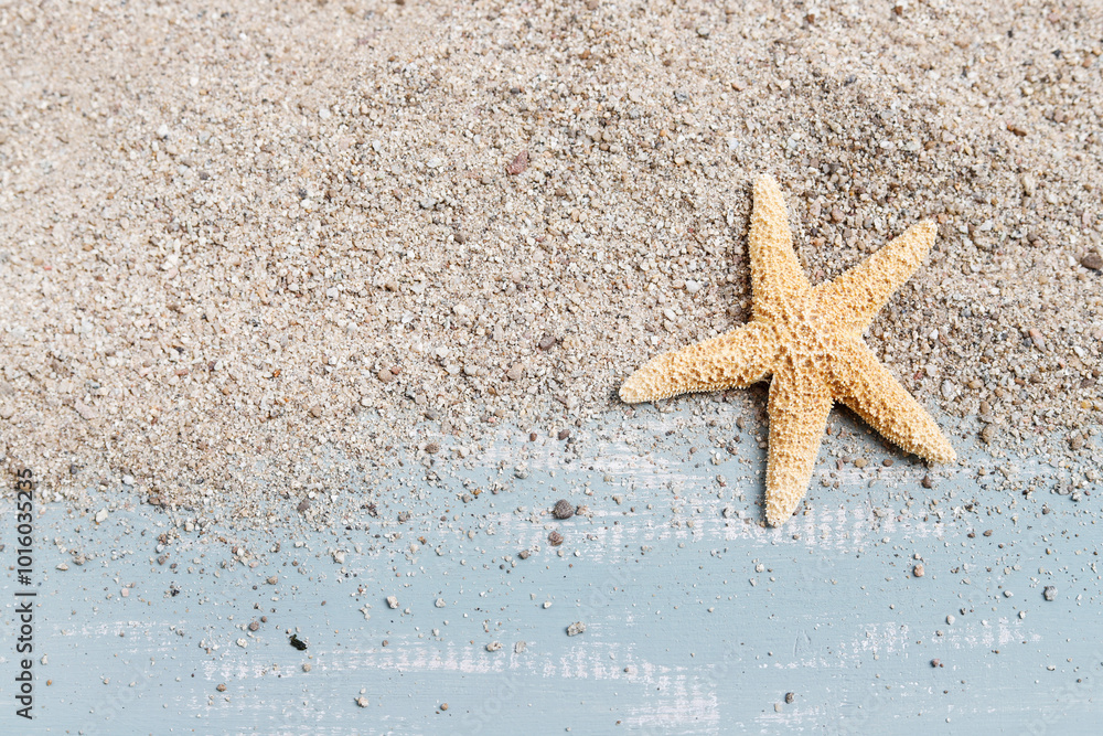 Seashells and sand, background, copy space Seashells and sand, background, copy space