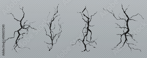 Cracks on the ground, cracks on the asphalt, road damage, earth surface, earthquake isolated on transparent png background.	