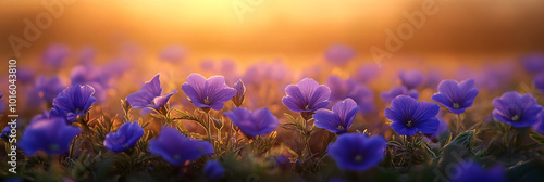 Purple false saw wort wildflower in a lush Israeli meadow with shallow depth of field and copy space
 photo