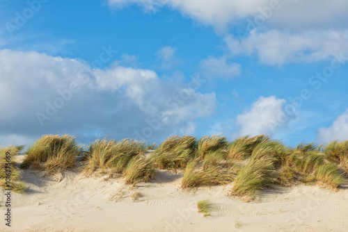 Dunes at Danish North Sea coast