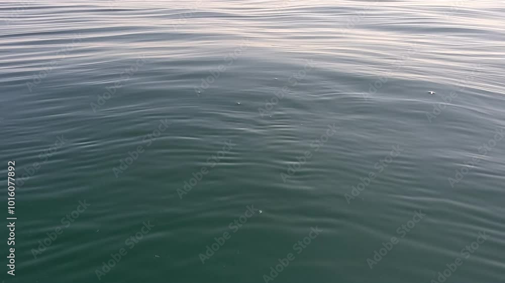 Sea water surface. Low angle view over clear azure sea water. Sun glare. Abstract nautical summer ocean nature. Holiday, vacation and travel concept. Nobody. Slow motion. Weather and climate change Sea water surface. Low angle view over clear azure sea water. Sun glare. Abstract nautical summer ocean nature. Holiday, vacation and travel concept. Nobody. Slow motion. Weather and climate change