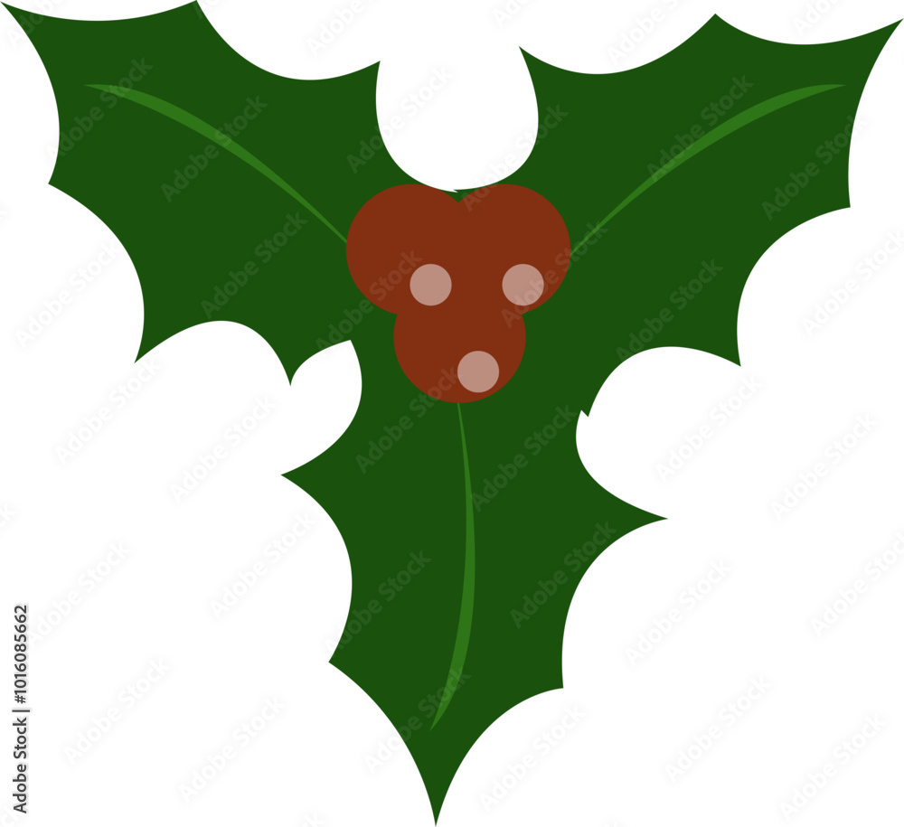 Fototapeta premium Christmas Holly Berries