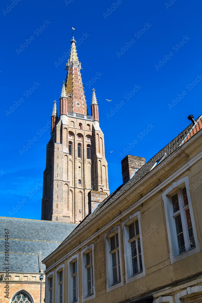Fototapeta premium Cathedral tower in Bruges, Belguim