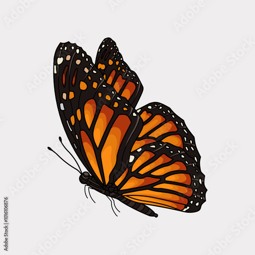 orange monarch butterfly hand drawn artwork illustration