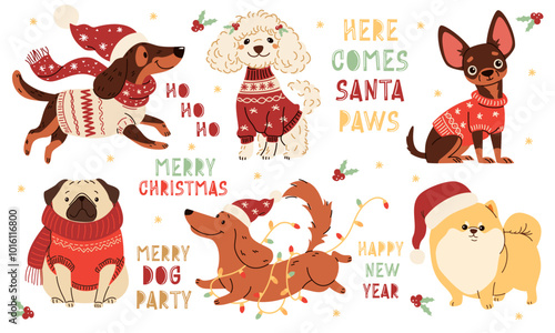A set of vector illustrations in children's style on Christmas theme. Cute dogs in warm sweaters and scarves, Santa Claus hat and Christmas garlandn