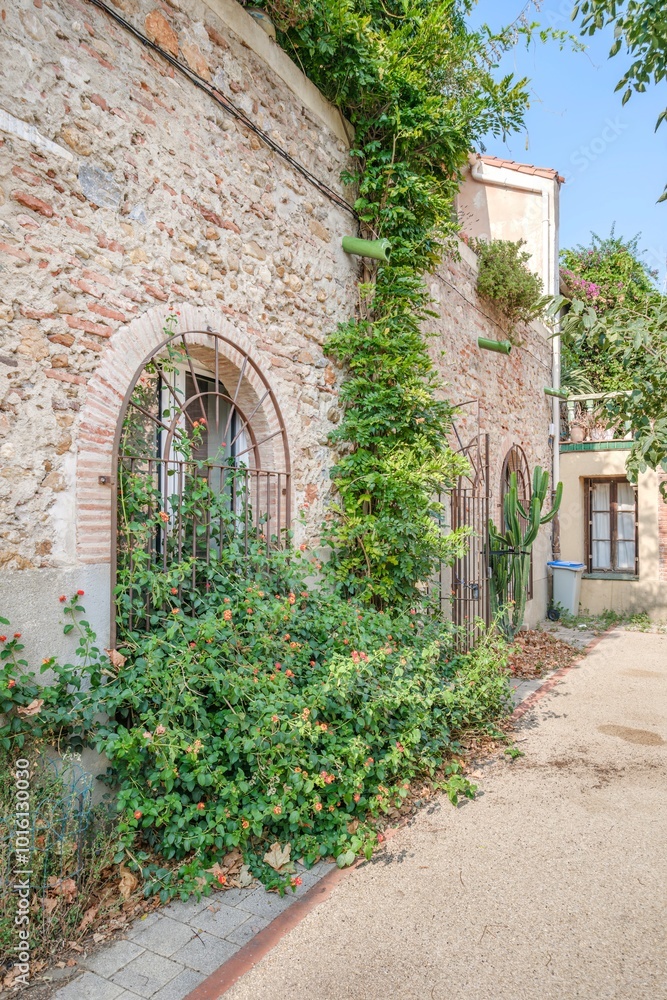 Fototapeta premium Stone Facade With Vines And Flowers On A Rustic House. The Arched Windows With Bars And The Surroundings Full Of Vegetation Create A Picturesque And Natural Atmosphere.