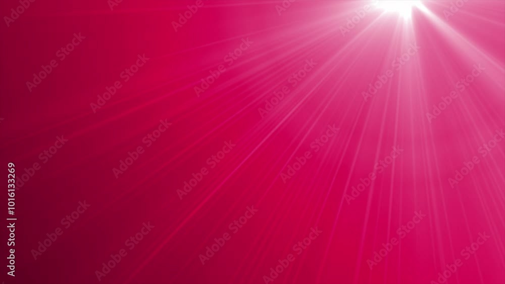 Magenta red color simple and classy optical flair light rays modern design loop able futuristic background Magenta red color simple and classy optical flair light rays modern design loop able futuristic background