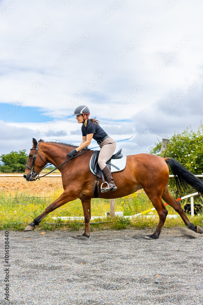 female rider trotting on brown horse outdoors female rider trotting on brown horse outdoors
