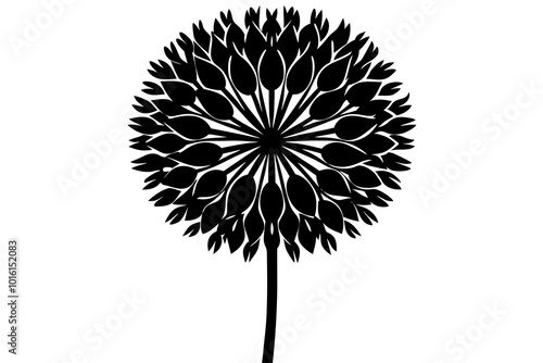 allium  silhouette  vector icon white background