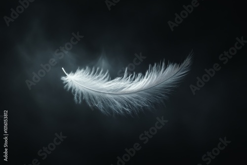 An ethereal white feather floats on a dark background, embodying the fragility and beauty of nature in its minimalist and artistic form of expression. photo