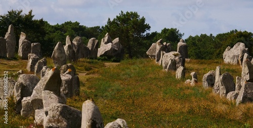 Blurred foreground,  Rows of menhirs, Carnac France, carved out of rock, meaning is unknown, but the cultic or calendaric significance in the Neolithic period seems certain. photo