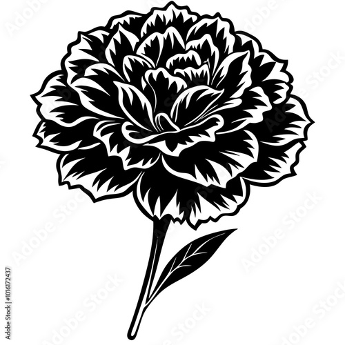 Carnation Flower Silhouette Vector Illustration Nature Design