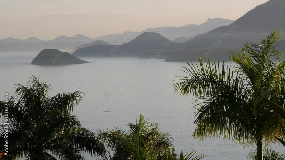 Brazilian coast with mountains in background and palm tree in foreground, morning light Brazilian coast with mountains in background and palm tree in foreground, morning light