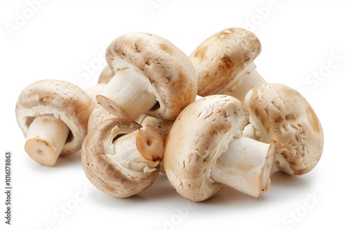 A pile of mushrooms on a white background