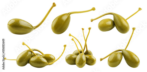 Caper isolated on white background, full depth of field