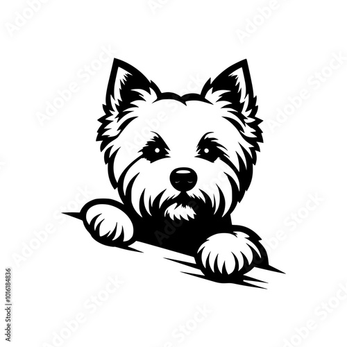 Westie Dog