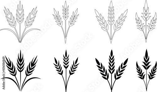 Bunches of wheat or rye ears with whole grain. Wheat wreaths and grain spikes set icons. Vector illustration
