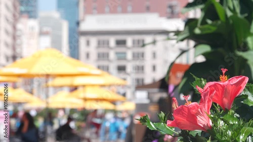 New York City, United States, Manhattan Midtown Broadway, 23 street, 5 avenue crossroad. Worth Square near Madison Park, Flatiron Building, USA. People on chairs, tables and umbrellas. Summer flowers.