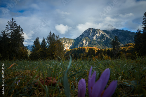 a walk in the mountains, a trip to the mountains, a hike in the mountains