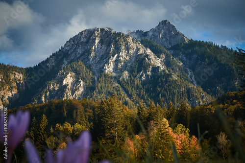 a walk in the mountains, a trip to the mountains, a hike in the mountains