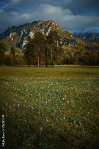 a walk in the mountains, a trip to the mountains, a hike in the mountains