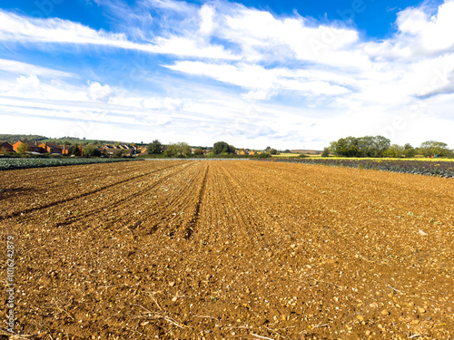 plowed field in autumn