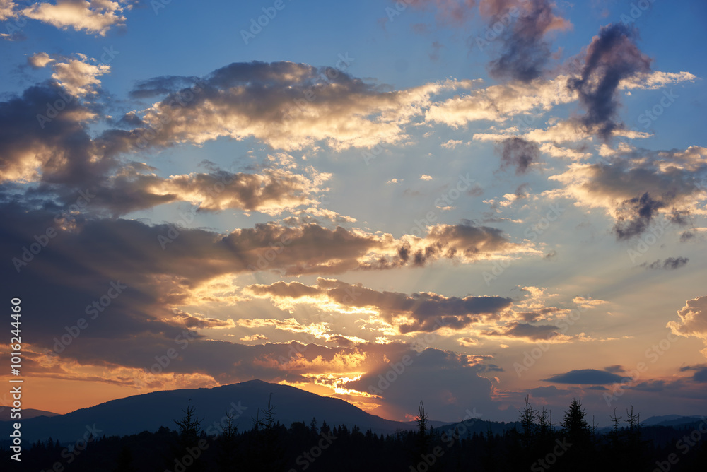 Obraz premium Serene evening sky with hues of blue and soft pink clouds as sun sets. Horizon glows gently, casting light over silhouetted pine trees and rolling hills, creating peaceful and expansive landscape.